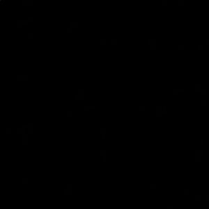 Meet your Posher, Bin